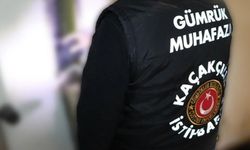 Gümrük Muhafaza Ekipleri, Kaçak Yaban Hayvanlarına El Koydu