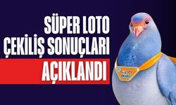 31 Ağustos 2025 Süper Loto sonuçları açıklandı! Milli Piyango Online ile Süper Loto sonuçları nasıl öğrenilir?