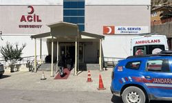 Hakkari Çukurca’da Ceviz Toplarken Ağaçtan Düştü, Kurtarılamadı