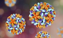 Hepatit B Nedir? Belirtileri ve Bulaşma Yolları