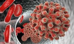 Hepatit C Nedir? Belirtileri ve Bulaşma Yolları