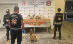 İstanbul ve Sarp Gümrük Kapısı’nda Dev Uyuşturucu Operasyonu