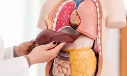 Karaciğer Yağlanması Nedir? Belirtileri ve Tedavi Yöntemleri