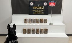 Kocaeli’nde Yolcu Otobüsüne Uyuşturucu Baskını: 2 Tutuklama