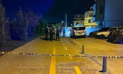 Kocatepe Kartepe’de Kız Arkadaşı Ve Kardeşini Öldürdü, İntihar Etti