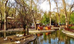 Çankaya’da Tiyatro Rüzgârı: Kuğulupark’ta “Vee Perde” Etkinliği
