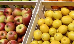 Limon ve Elma İhracına Bakanlıktan Sıkı Denetim