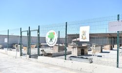 Mamak Kutludüğün’deki Sokak Hayvanları Bakım Merkezi Yenileniyor