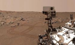 Mars’ta Eski Yaşam İzlerine Dair Güçlü Bulgular Keşfedildi