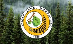 Orman Genel Müdürlüğü İŞKUR Üzerinden İşçi Alıyor