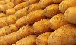 Eylülde Market Fiyatları Arttı: Patates Farkı Zirvede