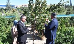 Pursaklar’da Yerli Tohum Hasadı Gerçekleştirildi