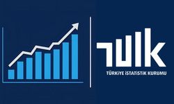 TÜİK Beşeri Sermaye Endeksi Sonuçlarını Açıkladı