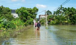Vietnam’da Bualoi Tayfunu: 242 Bin Kişi Tahliye Edilecek