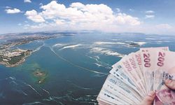Bu Şehirlerde O Mesleği Yapanlara 12 Bin Lira Ödeme Yapılacak! Bakanlık Açıkladı