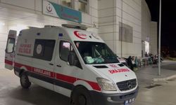 Aksaray Eskil’de Üzerine Kereste Düşen Çocuk İşçi Öldü