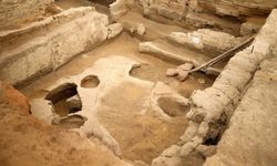 Çatalhöyük’te Binlerce Yıllık Nohut ve Ekmek Bulundu
