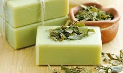 Çay Ağacı Sabununun Faydaları ve Kullanım Alanları