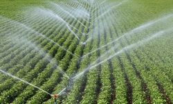 Çiftçilere 3,5 Milyon Lira Tarım Destek Ödemesi Hesaplara Yattı