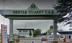 Hektaş Kimin, Devletin mi, Ordunun mu? HEKTS Kaç Lotu Var?