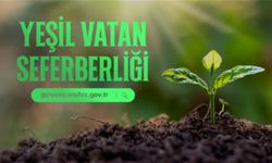 Cumhurbaşkanı Erdoğan’dan Fidan Sahiplenme Daveti