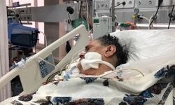 Ankara'da Başlayan Salgın Bolu'ya Sıçradı! Tedavisi Yok