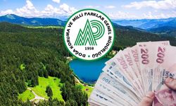 Doğa Koruma ve Milli Parklar’da İş Fırsatı! 240 Kişiye Yeni Kadro Açıldı