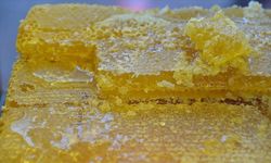 Doğu Karadeniz'den Bal İhracatı Rekoru: 1,7 Milyon Doları Aşkın Gelir