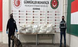 Edirne Kapıkule’de Tıra Uyuşturucu Baskını: 1 Gözaltı