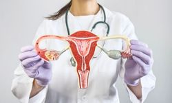 Endometrium (Rahim) Kanseri Nedir? Belirtileri ve Tedavisi
