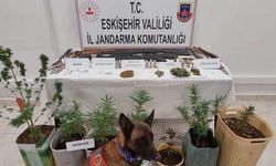 Eskişehir Odunpazarı’nda Uyuşturucu Operasyonu: 7 Gözaltı