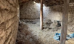 Eskişehir’de Kardeş Cinayeti 14 Yıl Sonra Gün Yüzüne Çıktı
