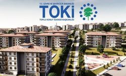 Ev Alıp Satarken Büyük Tuzak: Haberi Olmayan Tüm Birikimini Kaybedecek!