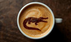 Falda Timsah Görmek Ne Anlama Gelir?