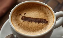 Falda Tırtıl Görmek Ne Anlama Gelir?