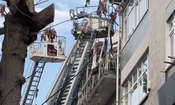 İstanbul Şişli’de 4 Katlı Binada Yangın: 1 Kişi Öldü