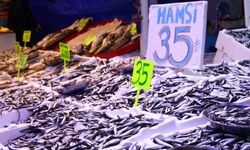 Karadeniz’de Hamsi Fiyatı Düştü: Tezgahlar Doldu