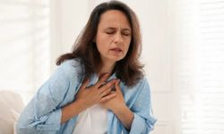 Korku Beyinde Başlıyorsa, Kalp Tepkileri Neden Artar?