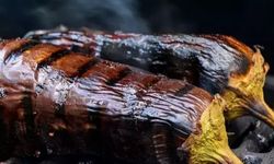 Köz Patlıcanı Bozulmadan Saklamanın Püf Noktaları Nelerdir?