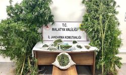 Malatya’da Uyuşturucu Baskını: Şüpheliler Tutuklandı