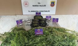 Manisa'nın 7 İlçesinde Eş Zamanlı Uyuşturucu Baskını: 11 Tutuklama