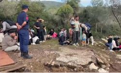 Muğla Milas’ta 33’ü Çocuk 74 Kaçak Göçmen Yakalandı