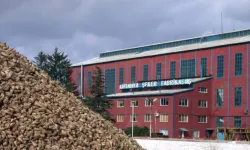O Şekeri Alana Para Verecekler: Kim Kaç Lira Alacak?