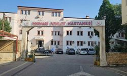 Siirt-Pervari Yolunda Kaza: 12 Kişi Hastaneye Kaldırıldı