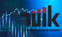 Türkiye’de İşsizlik Oranı Sabit Kaldı: TÜİK Açıkladı