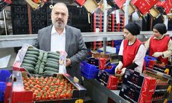 Ukrayna’nın Domates Kararı Kriz Yarattı: Antalya İhracatçısı Çözüm Bekliyor