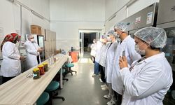 Yıldırım Beyazıt Üniversitesi Öğrencileri Çubuk Turşusunu Yerinde Öğrendi