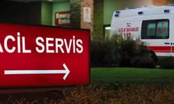 Niğde’de Ispanak Sanılan Güzelavrat Otu Zehirledi: 11 Kişi Hastanede