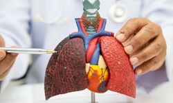 Akciğer Kanseri Nedir? Nedenleri, Belirtileri ve Tedavisi