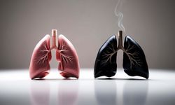 Akciğer Kanserinde Erken Tanıda EBUS Dönemi